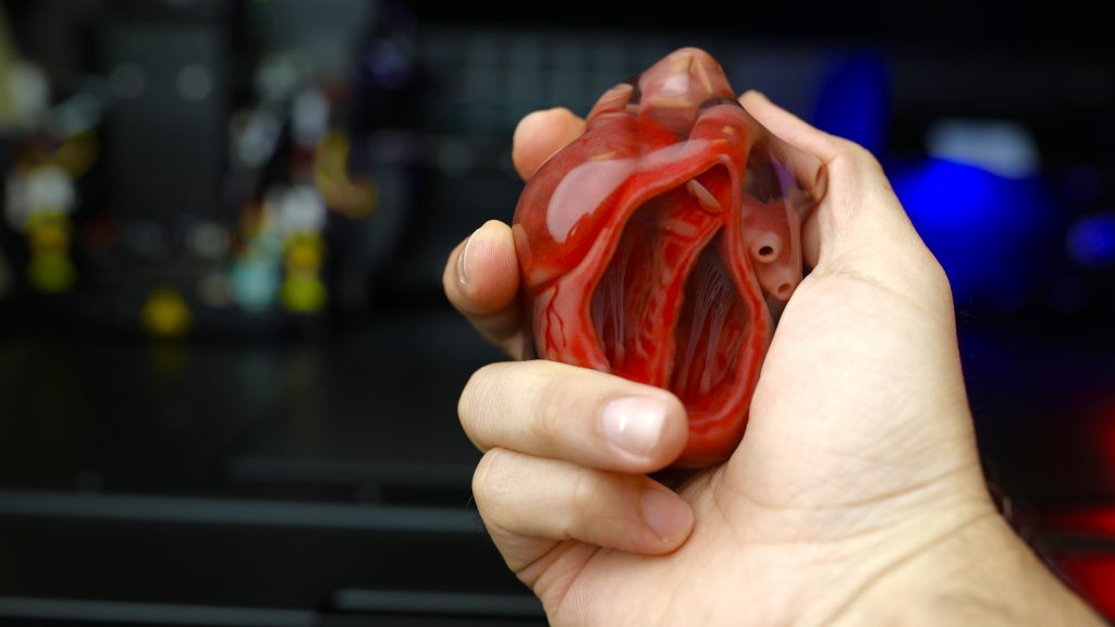 Full Color 3D Heart Print | 3D Printing Services